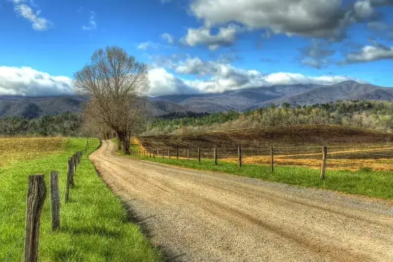 gravel road in Cades Cove
