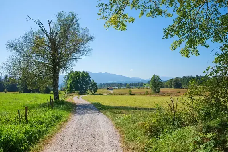 view from Cades Cove