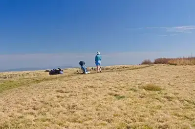 hike on Gregory Bald