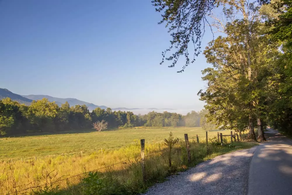 meadow and mountain view from Cades Cove Loop Road