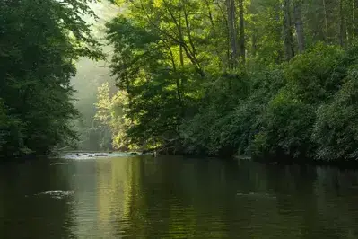 water gently flowing at Abrams Creek