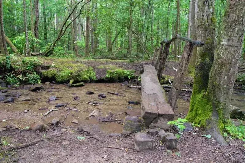 hiking trail with a walking bridge in Cades Cove