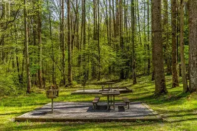 picnic area