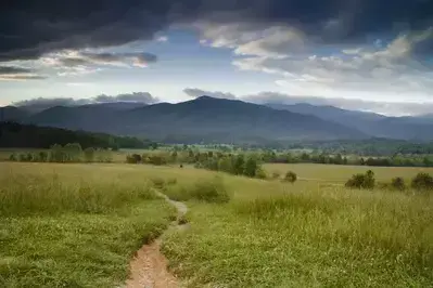 A narrow trail winding with the Great Smoky Mountains in the background