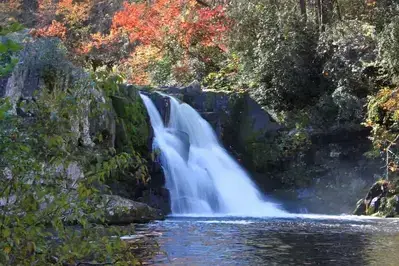 abrams falls