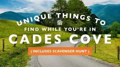 scavenger hunt cades cove