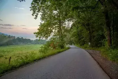 Cades Cove Loop Road