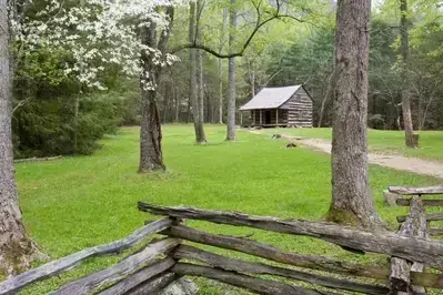 Carter Shields Cabin in the Spring
