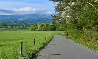 woman biking in cades cove