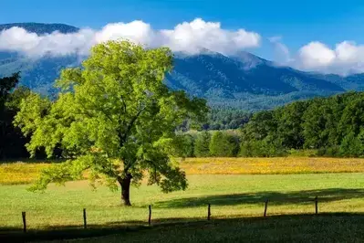 cades cove mountains