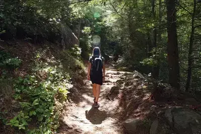 person on a hiking trail in the smokies