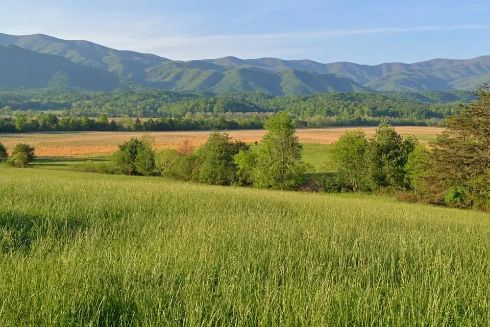 cades cove open valley