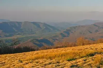 Gregory Bald overlooking Cades Cove.