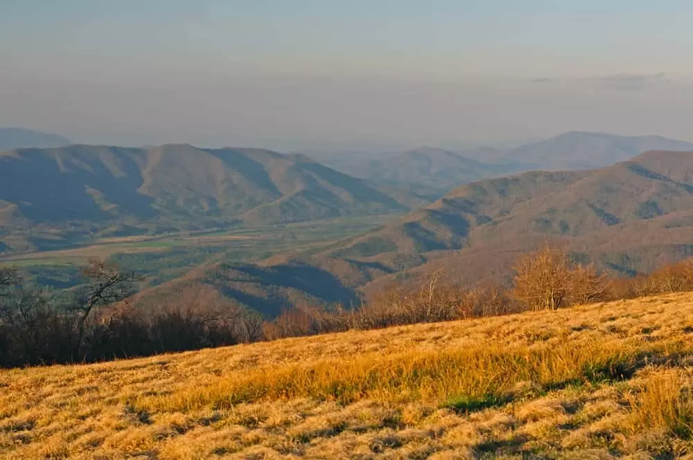 Gregory Bald overlooking Cades Cove.