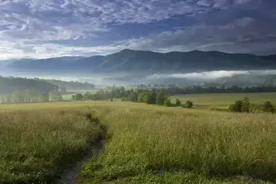 Cades Cove during summer