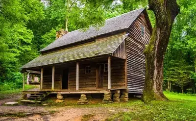 Henry Whitehead Cabin