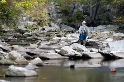 Man fishing in Smoky Mountains