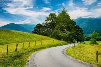 Cades Cove Loop Road