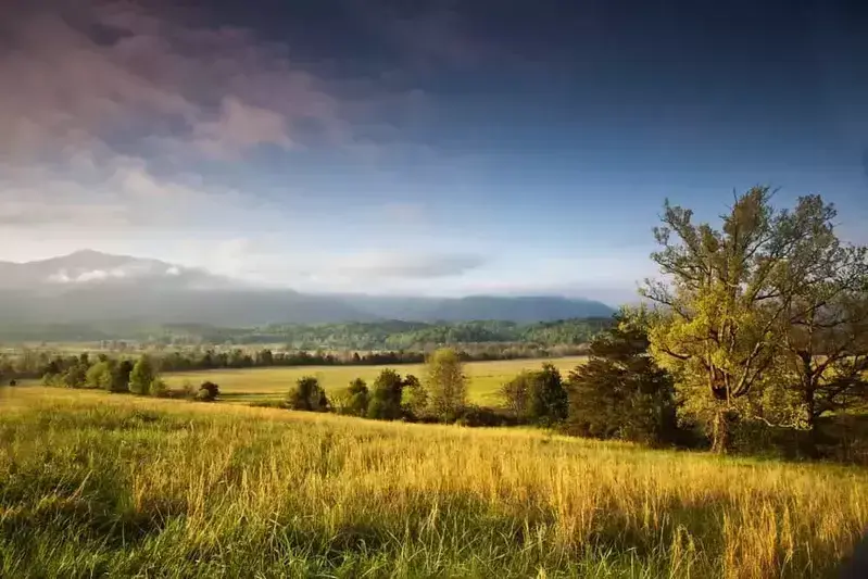 5 Stops on the Cades Cove Tour You Have to See