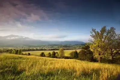 5 Stops on the Cades Cove Tour You Have to See