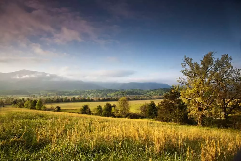 5 Stops on the Cades Cove Tour You Have to See
