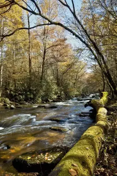 Beautiful Cades Cove stream