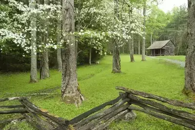 cades cove cabin in spring