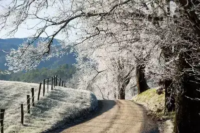 Scenic photo of Cades Cove in winter.
