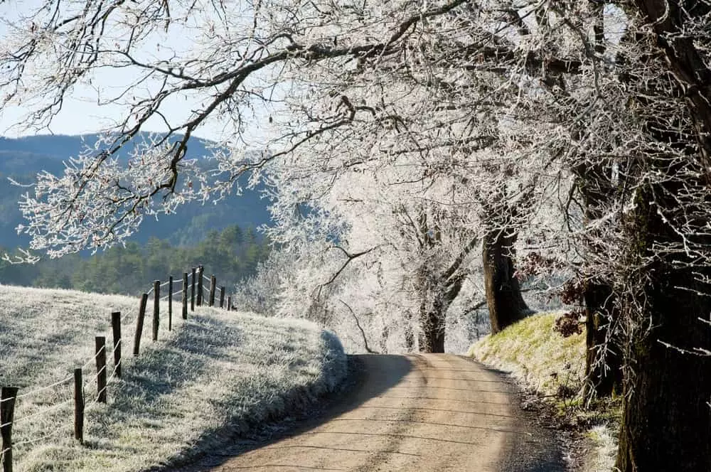 Scenic photo of Cades Cove in winter.