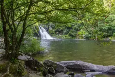 A photo of Abrams Falls, one of the top Cades Cove hiking trails.