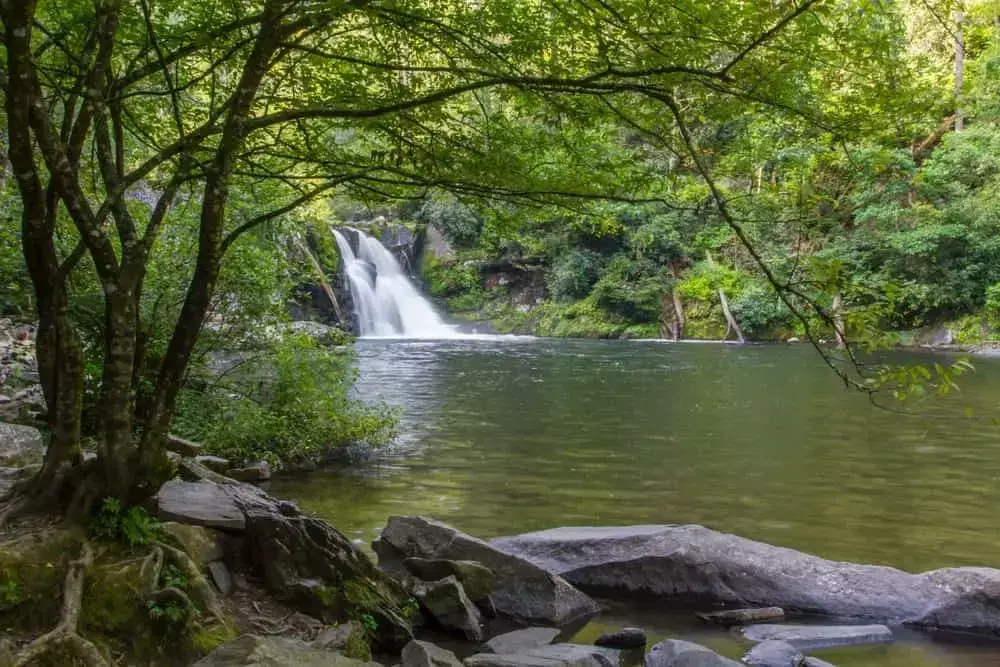 A photo of Abrams Falls, one of the top Cades Cove hiking trails.