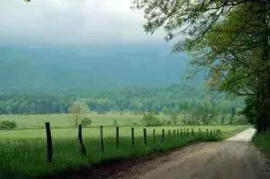 cades cove loop