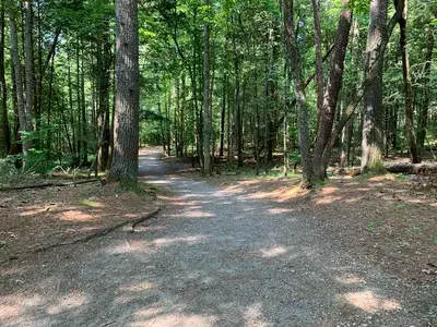 parson branch road cades cove
