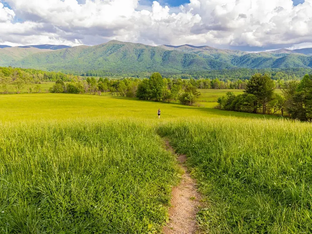cades cove tennessee