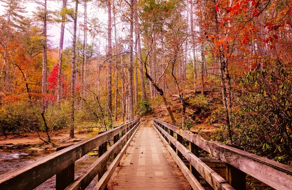 fall hiking cades cove