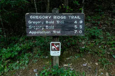 gregory bald trail