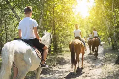 horseback riding - what to do in cades cove with kids